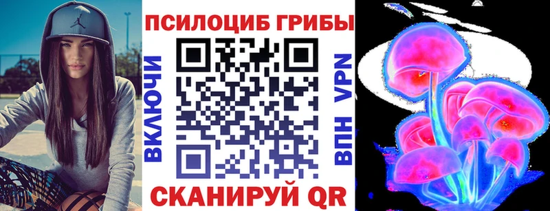 наркошоп  Кондрово  Галлюциногенные грибы GOLDEN TEACHER 